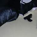 Albträume,kann ich auch ohne Waffe schlafen?