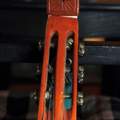 Altes Musikinstrument - Laute