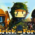 bei meinem brick force sthet unsupported browser!