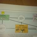 Biologie Stoffstrom in einem Ökosystem