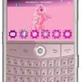 blackberry rosa