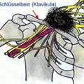 Das geht an alle Mediziner oder Menschen die sich in der Medizin auskennen! Bitte Hilfe