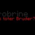 Denkt ihr Herobrine ist echt?