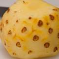 Die braunen Dinger an der Ananas... Dringend!