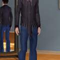 Die Sims 3 -Grafikfehler!