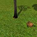 Die Sims 3 Ameisen am Picknickkorb?