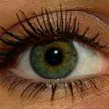 Die wahrscheinlich 100000 Frage über Wimperntusche!