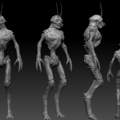 District 9 Alien beschreibung