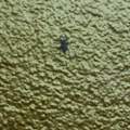 ein Monster?!was ist denn das??!