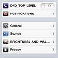 Einstellungen iPhone TEILWEISE Englisch und gross geschrieben