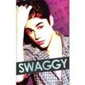 erklärung von swaggy bidde