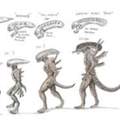 Futter für die Xenomorphs