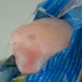 Gammelhuhn?