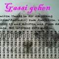 Gassi gehen?? Wie findet ihr die Idee??