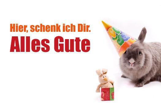 glückwünsche zum geburtstag kollegin