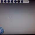Grauer Bildschirm bei Sims 2?