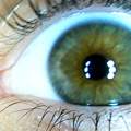 Grauer Rand um das Auge// Farbe?!