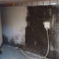 Haus mit Schimmelbefall, mieten oder lieber lassen.... Eilt.