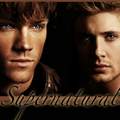 Hi, ich suche jemanden der mit mir eine Supernatural FF schreiben will!