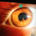Hilfe?! Was ist mit meinen Augen los ?