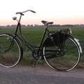 Hollandrad