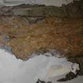Holzwurmbefall im Fachwerk
