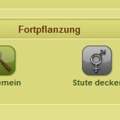 Howrse-Neptun