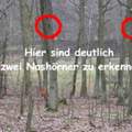 ich checks nicht :/ bilderklärung bitte