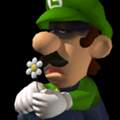 Ich suche die Beta Version von Luigi's Mansion zum spielen!!! :(