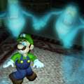 Ich suche die Beta Version von Luigi's Mansion zum spielen!!! :(