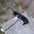 Lucy