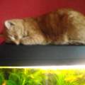 Mein Kleiner ;)