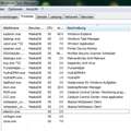 ist in meinem Task manager alles in ordung (Prozesse die grade laufen) ?