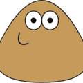 kann pou sterben und was ist wenn
