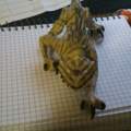 Kennst jemand diese Figur?