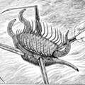 Konstruktion/Maschine in Realität wirklich möglich?