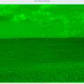 LG Monitor Fehler