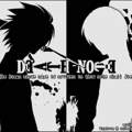 Light oder L ???