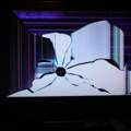 Medion Akoya E6222 Display Death