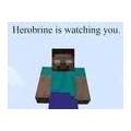 MINECRAFT HEROBRINE GLAUBT IHR DARAN?