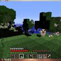 Minecraft übermäßiger Hühnerspawn