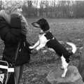 Mit einem Hund ein 'Team' ??