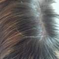 Möchte meine Naturhaarfarbe zurüüüück... !! :((