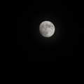 Mond Bild