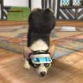 Nintendogs+cats - Geheime Tricks