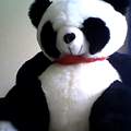 Panda ? Will ihn jemand :)) ;) :D