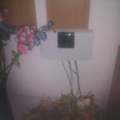 Problem mit Telekom Entertain !!!