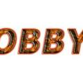 Referat über Hobbys