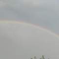 Regenbogen...Ende?