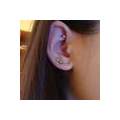 ROOK PIERcING  (AAAnatomiee)